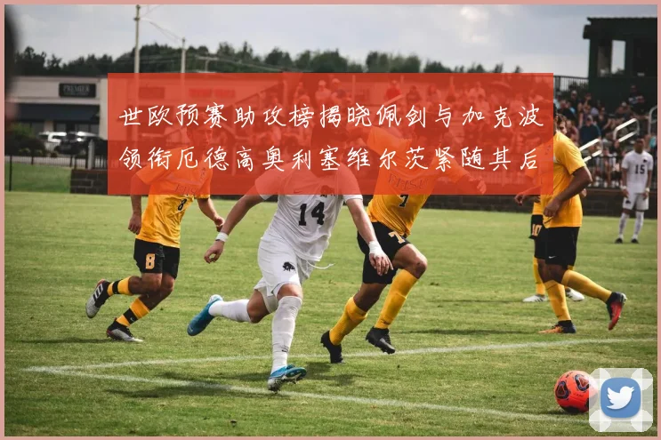 世欧预赛助攻榜揭晓佩剑与加克波领衔厄德高奥利塞维尔茨紧随其后