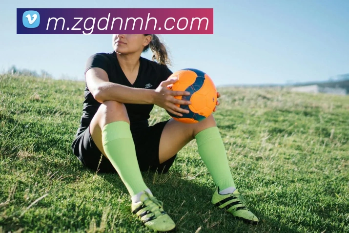 米兰网页版APP 高清赛事图